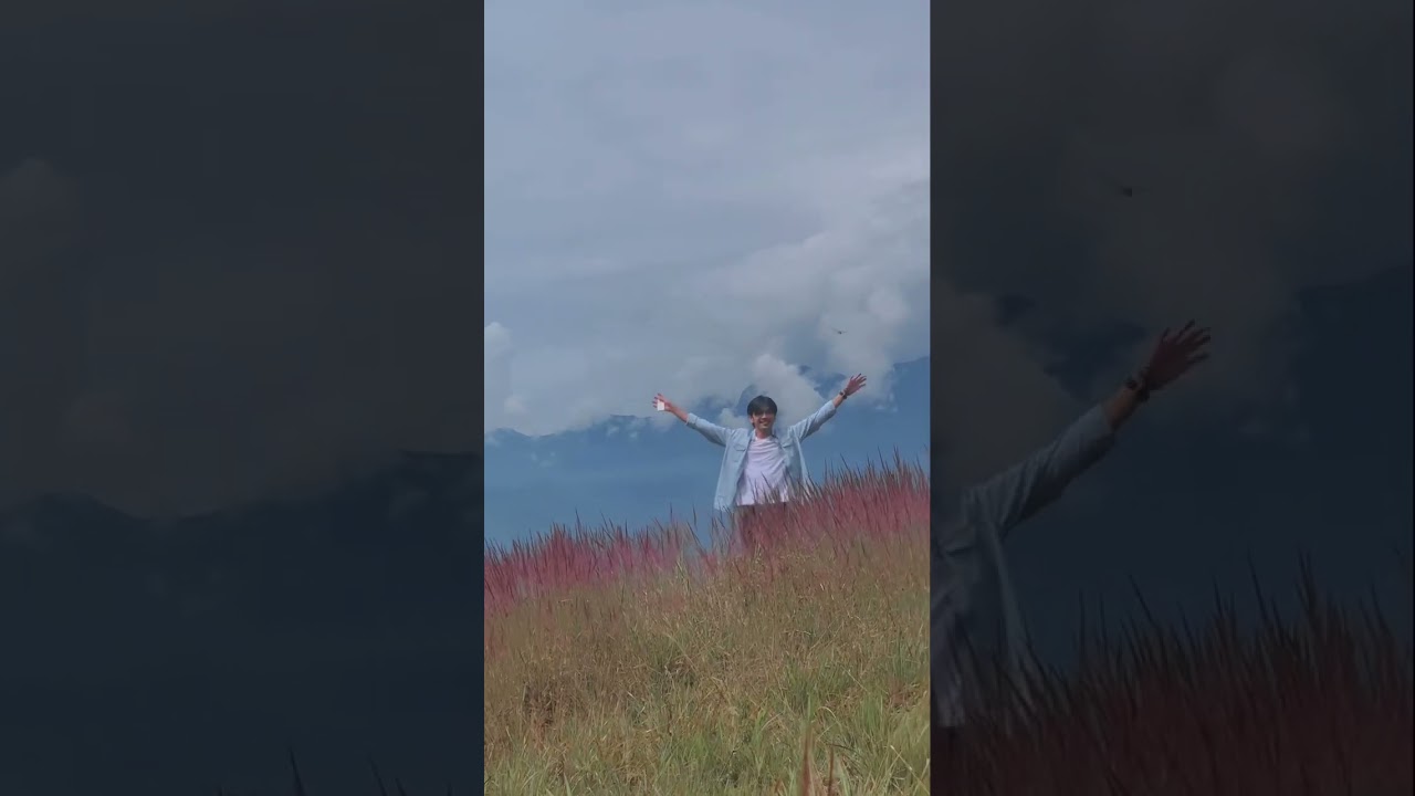 Rumput Mei