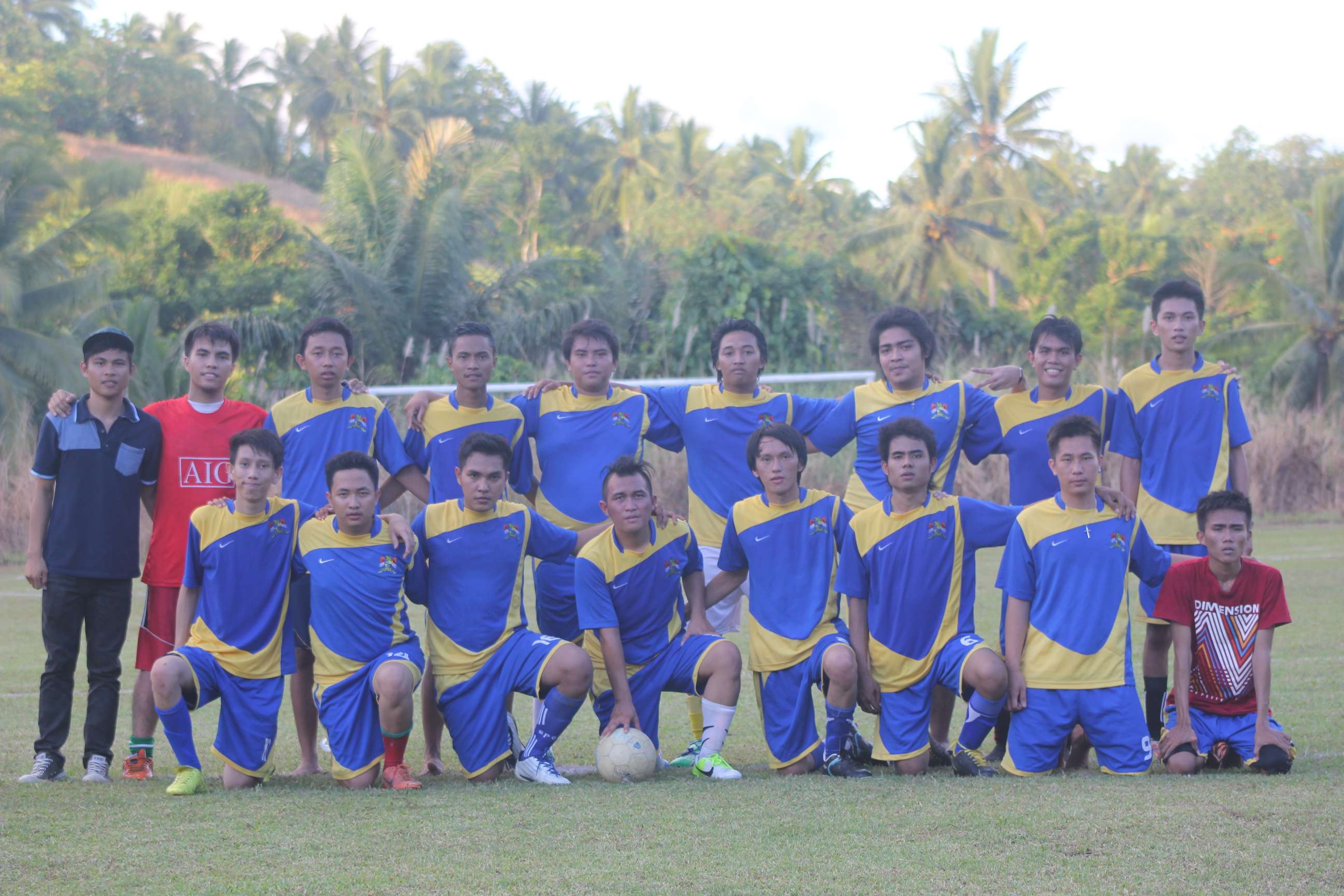 Jemba Bird - Lite Version