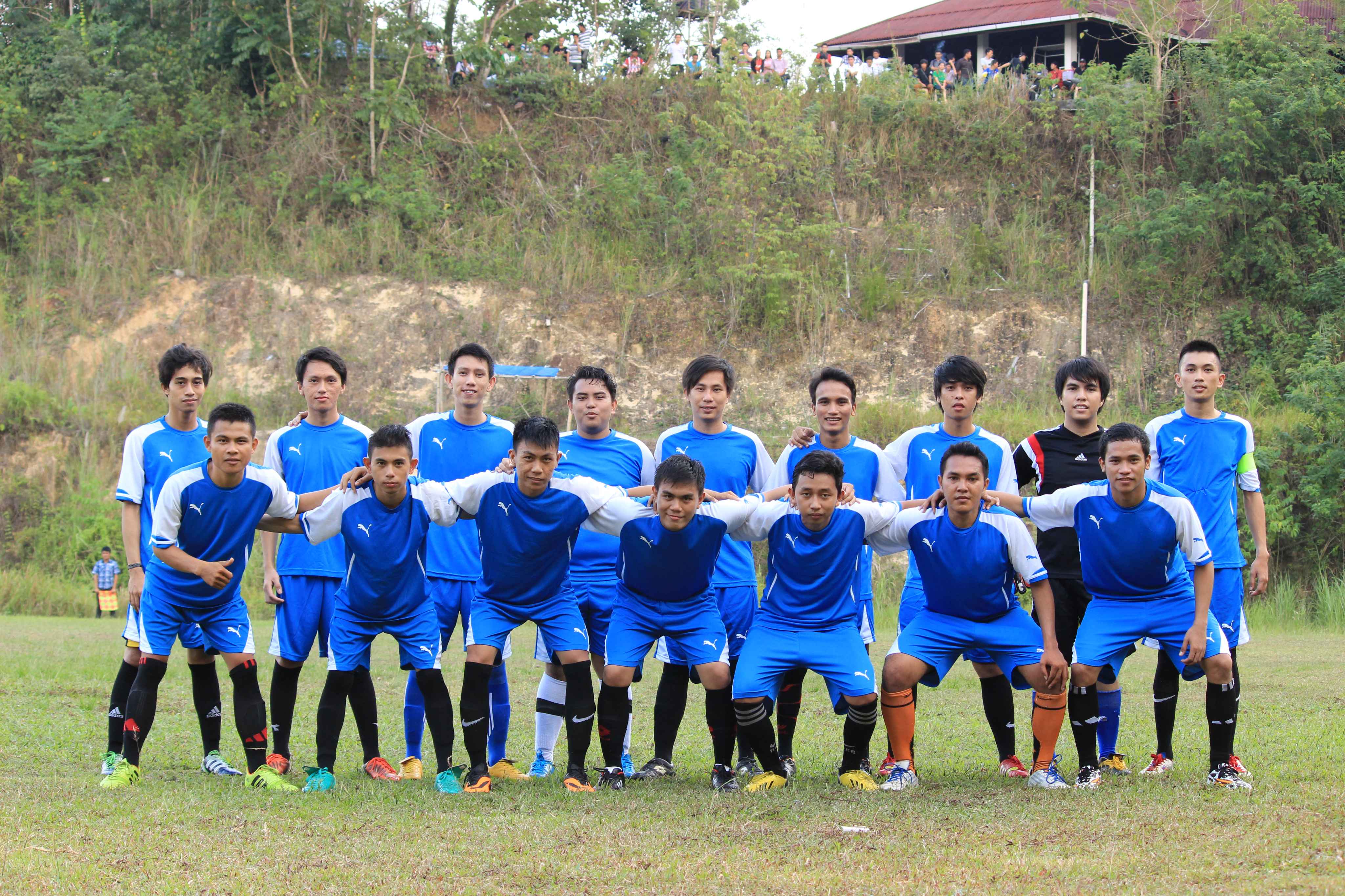 Jemba Bird - Pro Version